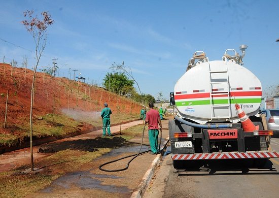 Prefeitura planta mais de 8 mil árvores nos onze primeiros meses do ano