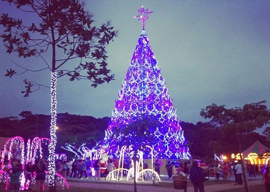 Aniversário da cidade terá inauguração de árvore de Natal