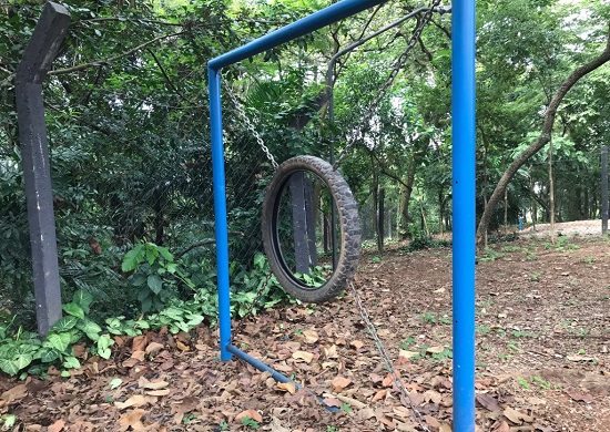 Bosque Maia inaugura espaço exclusivo para cães