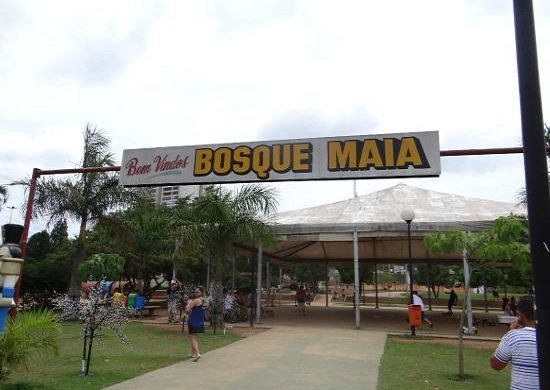Observação de aves no Bosque Maia