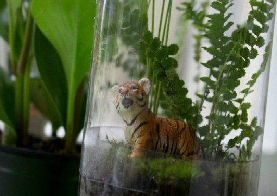 Oficina ensina a montar minijardim no Chico Mendes