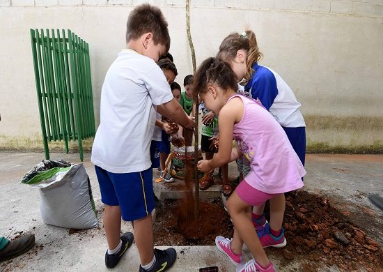 Prefeitura arboriza escolas com plantio de 400 mudas durante 2017