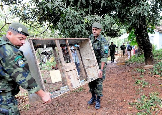 Guarda Ambiental realiza mais de 300 atendimentos em 2017