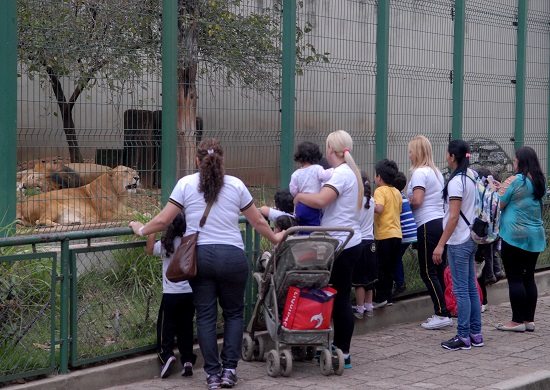 Zoológico oferece programação especial para as férias de janeiro