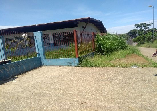 Moradores reclamam de mato alto no entorno de escola