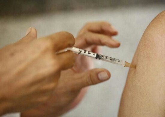 Brasil confirma mais 10 mortes por febre amarela em 4 dias