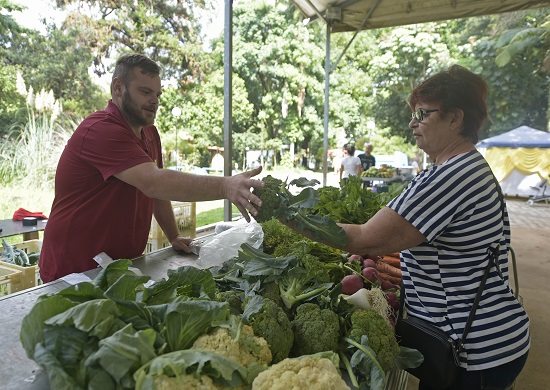 Feira Orgânica no Parque Fracalanza completa um ano
