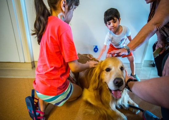 Doria sanciona lei que autoriza entrada de animais de estimação em hospitais de SP