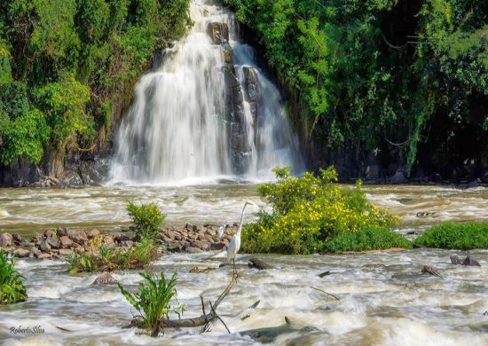 Recuperação do Rio Piracicaba torna-se referência para cidades latino-americanas