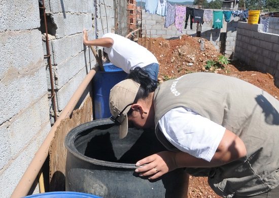 Aumenta o índice de infestação do Aedes aegypti em Guarulhos