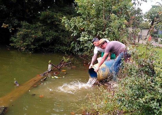 Prefeitura prossegue com manejo de peixes no Lago dos Patos e Bosque Maia