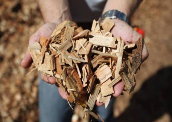 Suzano compra Fibria e cria gigante de papel e celulose