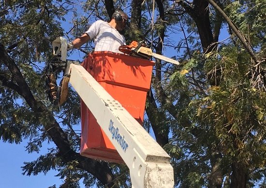 Compensação ambiental garante instalação de subestação distribuidora de energia elétrica