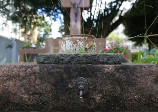 Arquivo Histórico promove Passeio Fotográfico no Cemitério de Bonsucesso