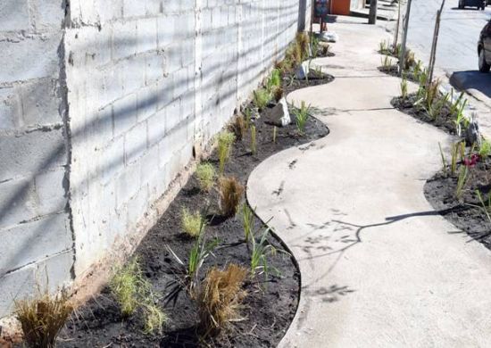 Prefeitura conclui reforma do PEV Santos Dumont