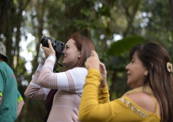 Nova edição da Trilha Noturna no Bosque Maia tem inscrições abertas