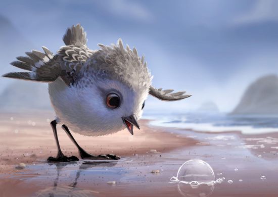 Lago dos Patos recebe o Circuito Sesc de Artes no sábado(14)