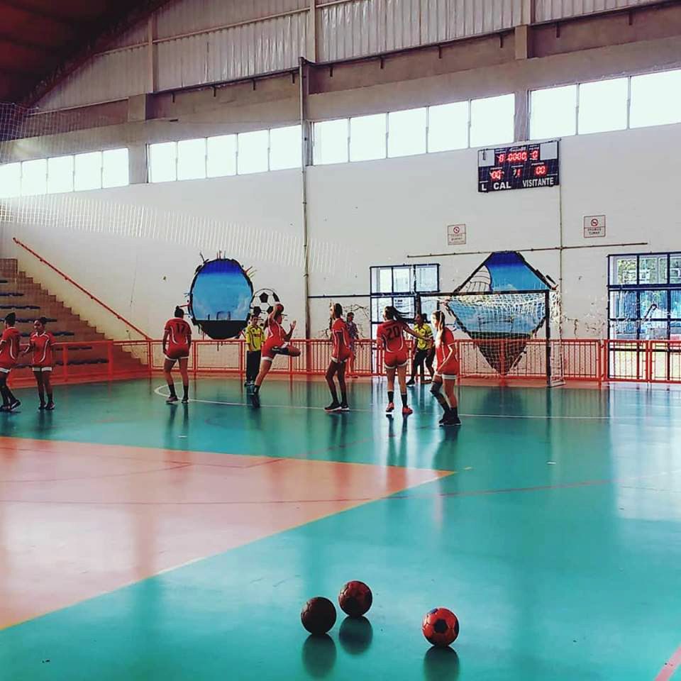 Guarulhos e São Bernardo decidem vaga na final da Liga Paulistana de Handebol
