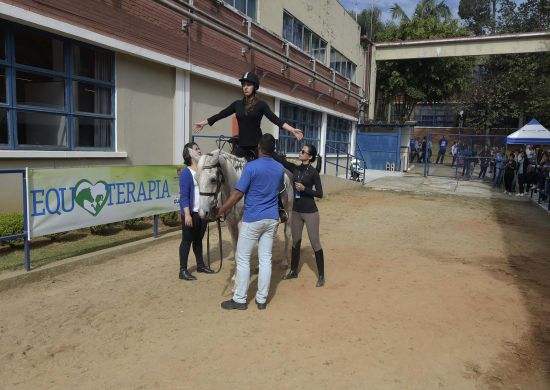 Prefeitura de Guarulhos e UNG iniciam parceria para tratamento de Equoterapia