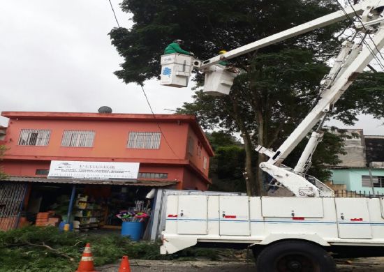 PREFEITURA INFORMA: Realização de serviços de poda de árvores no Jardim Maria Dirce
