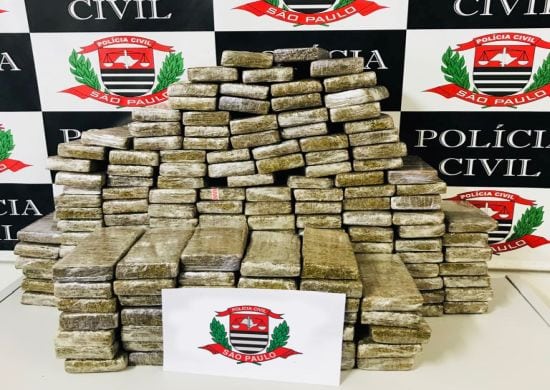 Polícia Civil prende mulher com 182 tijolos de maconha na Dutra