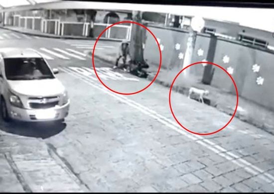 Cachorro ajuda policia a esclarecer homicídio do carrinho de mão