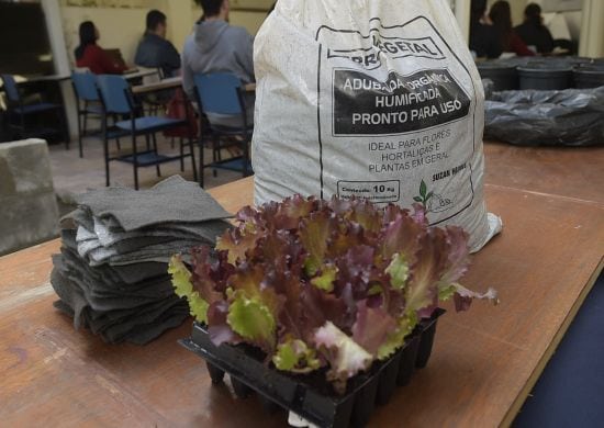 Inscrições abertas para oficina gratuita de Horta Caseira Orgânica