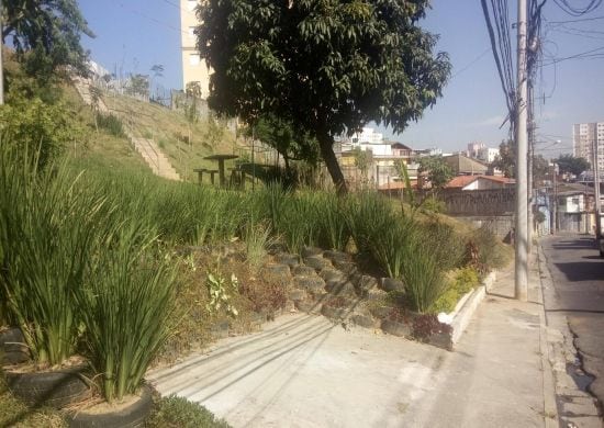 Meio Ambiente informa revitalização de inúmeras áreas da cidade
