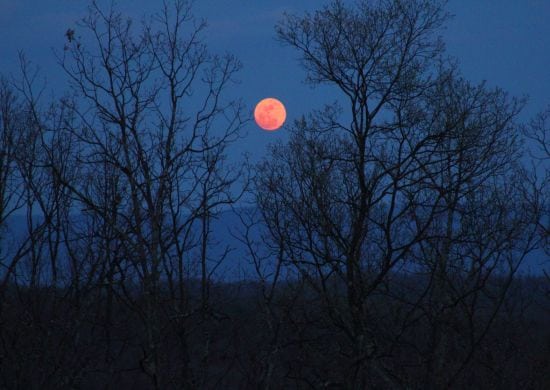 Saiba onde e como observar o maior eclipse lunar do século
