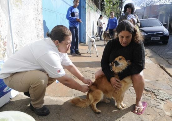 Campanha de vacinação contra a raiva ganha posto móvel na cidade