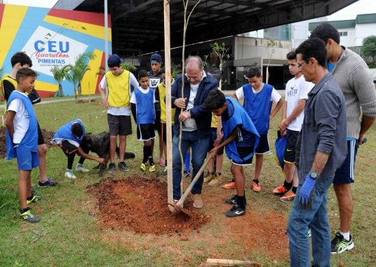 Programa Ilhas Verde nas Escolas começa nesta sexta(03)