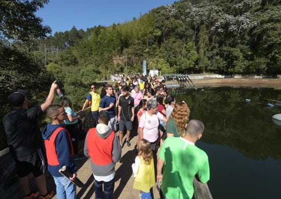 Movimenta Saúde realiza trilha para crianças no Parque da Cantareira