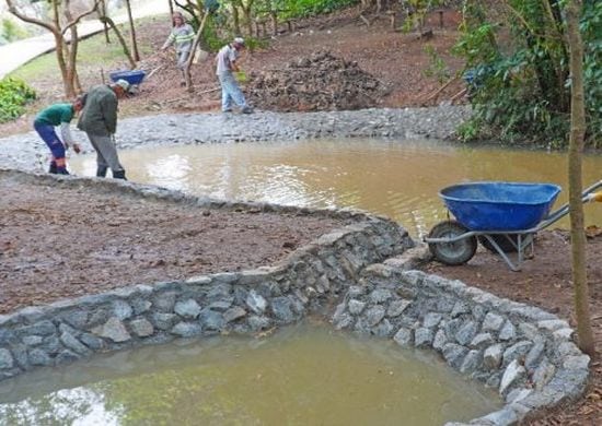 Proguaru inicia projeto de captação de água da chuva no Bosque Maia