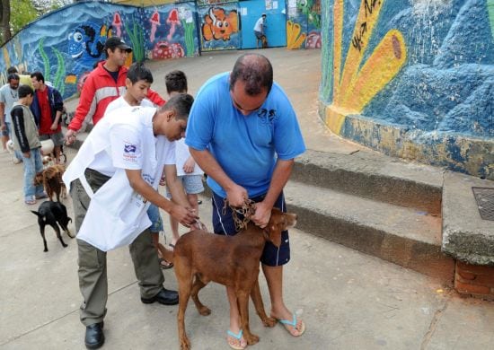 Em 10 dias, Guarulhos vacina 43.561 animais contra a raiva