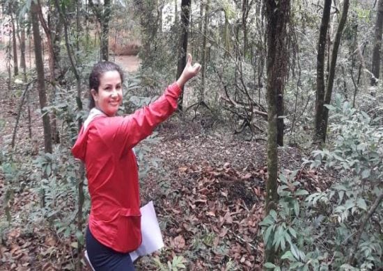 Movimenta Saúde leva trilha e meditação ao Parque Chico Mendes