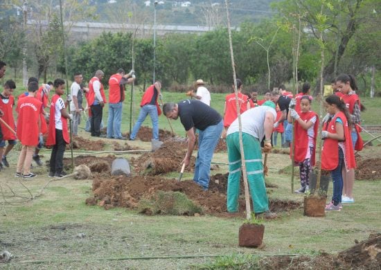 Plantio de 155 mudas nativas da Mata Atlântica marca o Dia da Árvore
