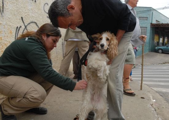 Campanha de Vacinação contra a Raiva Animal termina nesta quarta(05)