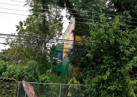 Matagal da Escola Juvenal Ramos Barbosa tira a paz da vizinhança