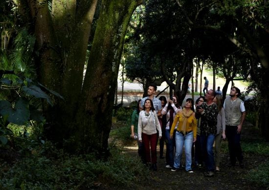 Bosque Maia recebe nova edição do Trilha Noturna