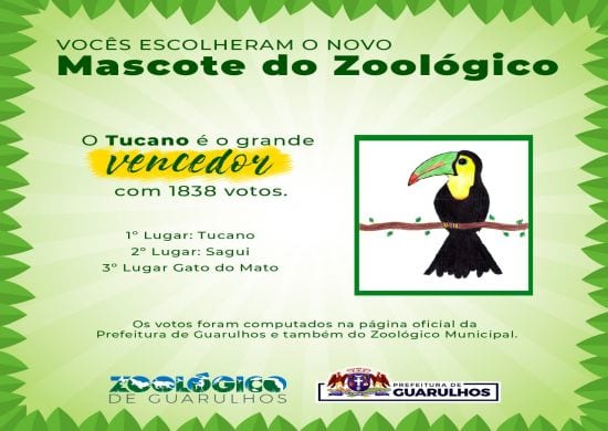 Tucano do bico verde é o novo mascote do Zoológico de Guarulhos