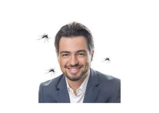 Infestação do Aedes põe Guarulhos em estado de alerta, aponta Ministério da Saúde
