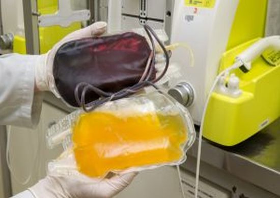 Estoques da Fundação Pró-Sangue permanecem em estado crítico