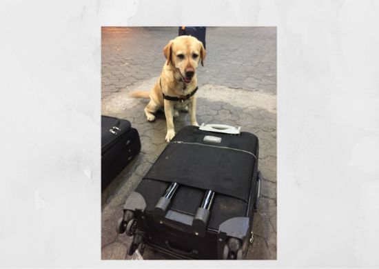 Receita apreende cocaína em embalagens de perfume no aeroporto