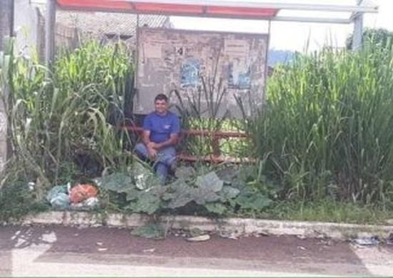Foto de ponto de ônibus em meio ao matagal não é em Guarulhos