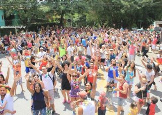 Carnaval 2019 nas ruas de Guarulhos encerra neste sábado(23)