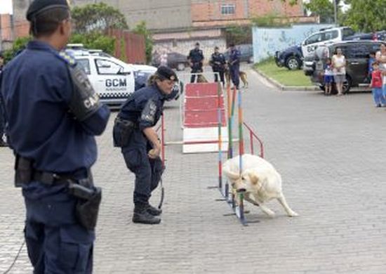 Canil da GCM faz apresentação no Parque Chico Mendes nesta sexta