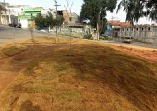 Prefeitura informa revitalização de área de descarte irregular no Palmira