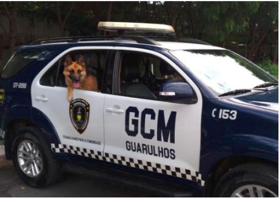 GCM detém duas pessoas em flagrante por tráfico no Bela Vista