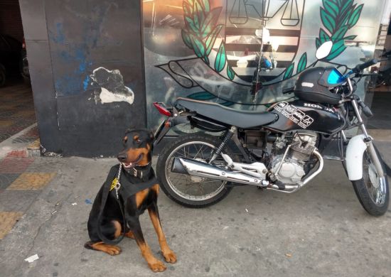 GCM apreende motocicleta adulterada no Jardim Inocoop