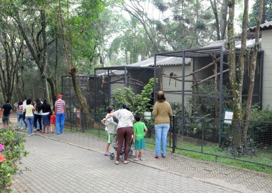 Oficina “O mundo dos insetos” é atração no zoológico nesta quinta-feira